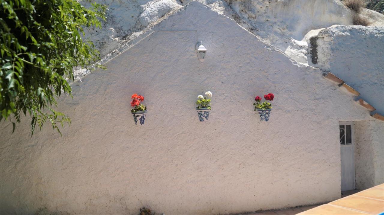 Maison d'hôtes Casa Cueva “La Estrella” à Grenade Extérieur photo